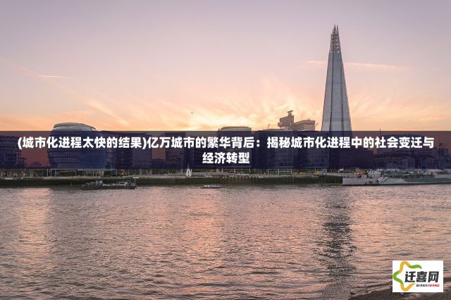 (城市化进程太快的结果)亿万城市的繁华背后：揭秘城市化进程中的社会变迁与经济转型