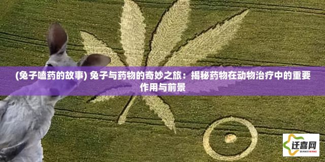 (兔子嗑药的故事) 兔子与药物的奇妙之旅：揭秘药物在动物治疗中的重要作用与前景