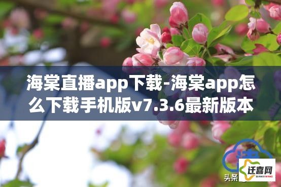 海棠直播app下载-海棠app怎么下载手机版v7.3.6最新版本